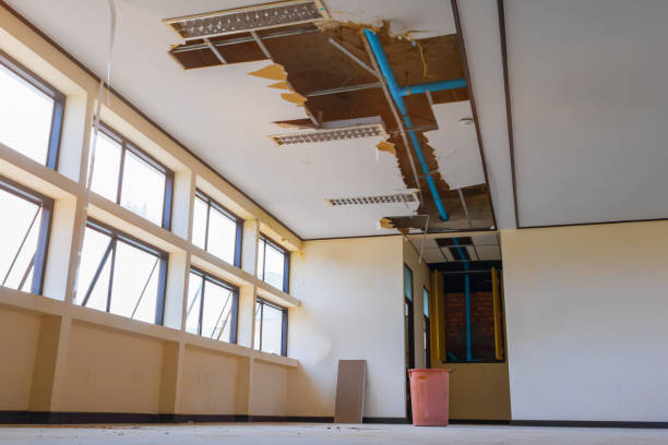Water damage restoration mold remediation in Kachina Village, AZ