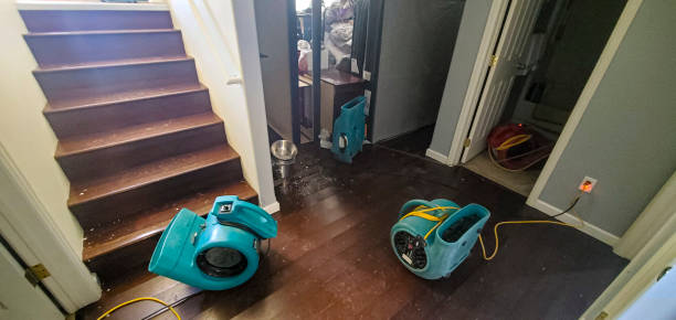 Best Water damage restoration process  in Kachina Village, AZ