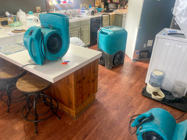 Best Emergency water damage restoration  in Kachina Village, AZ