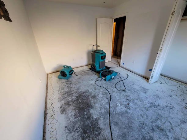 Best Mold removal after water damage  in Kachina Village, AZ