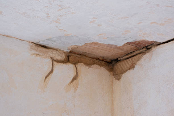 Best Water damage repair service  in Kachina Village, AZ
