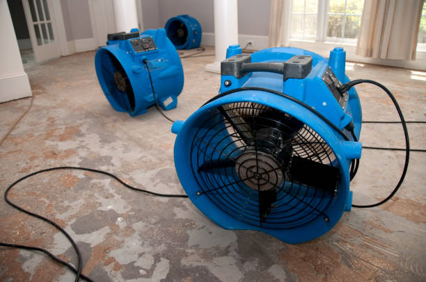 Professional Water damage restoration in Kachina Village, AZ