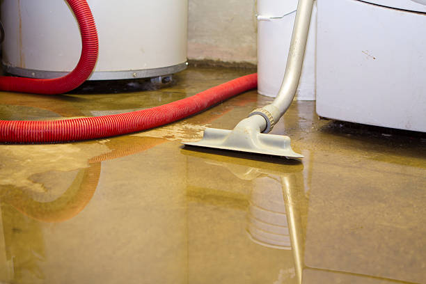Trusted Kachina Village, AZ Water damage restoration Experts