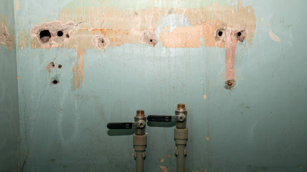 Best Residential water damage restoration  in Kachina Village, AZ