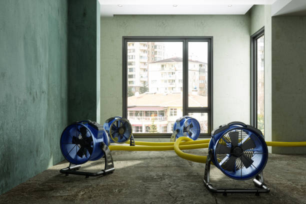 Best Basement water damage restoration  in Kachina Village, AZ