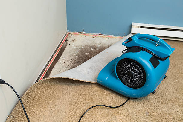 Best Water damage restoration mold remediation  in Kachina Village, AZ